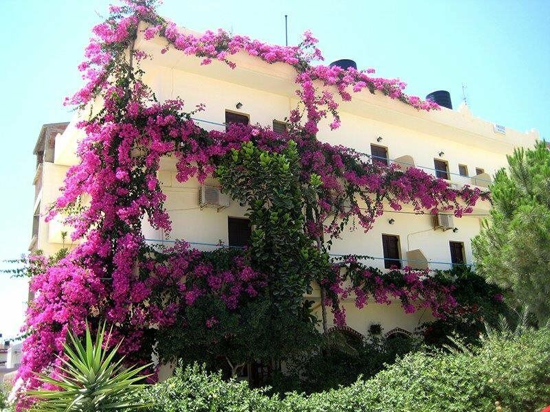 Knossos Hotel 칼라마키 외부 사진